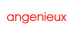 Angenieux Y